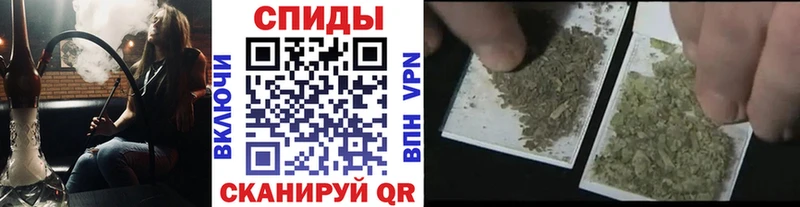 БУТИРАТ буратино  Алексеевка 