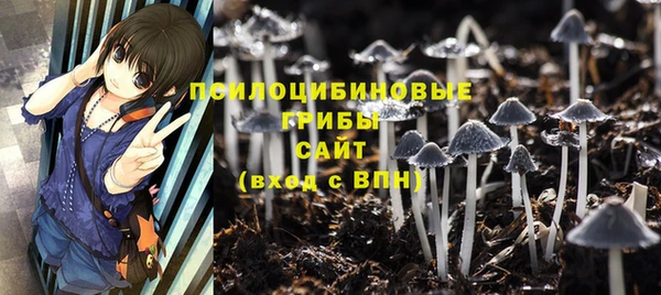 PSILOCYBIN Костерёво