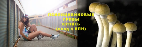 ешки Алексин