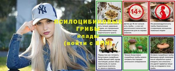 2c-b Алзамай