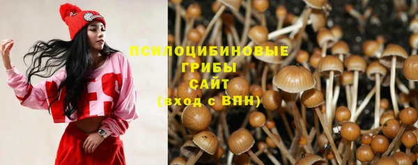 2c-b Алзамай