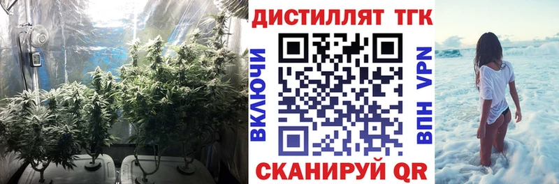 ТГК жижа  Алексеевка 