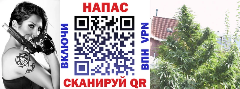Шишки марихуана THC 21% Алексеевка